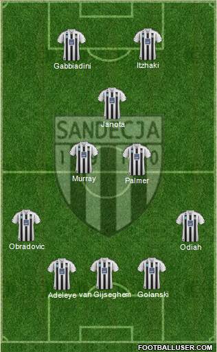 Sandecja Nowy Sacz Formation 2013