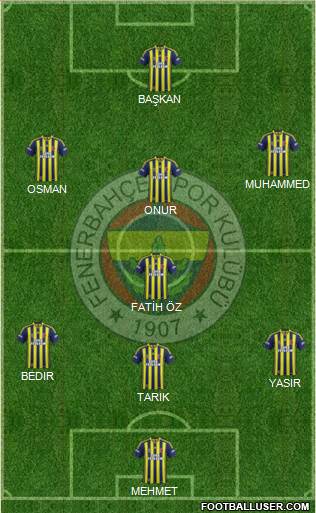 Fenerbahçe SK Formation 2013