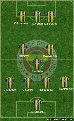 Fenerbahçe SK Formation 2013