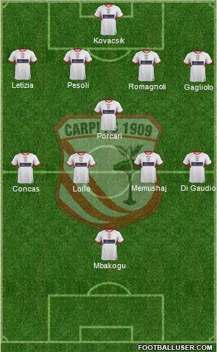 Carpi Formation 2013