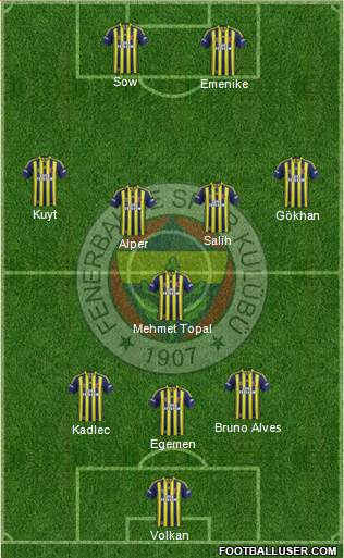 Fenerbahçe SK Formation 2013