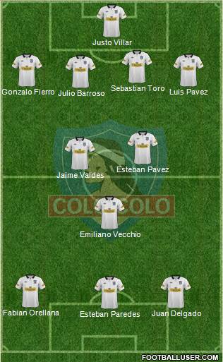 CSD Colo Colo Formation 2013