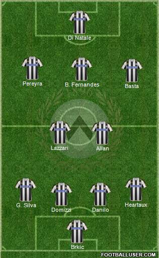 Udinese Formation 2013