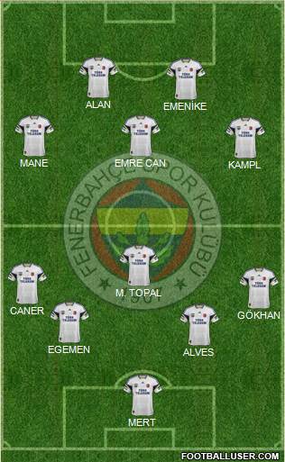 Fenerbahçe SK Formation 2013