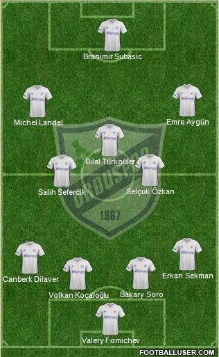 Orduspor Formation 2013