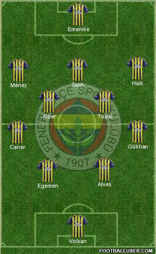 Fenerbahçe SK Formation 2013