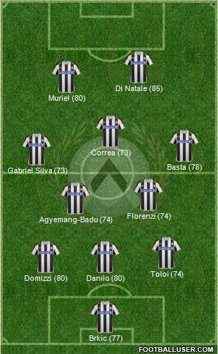Udinese Formation 2013