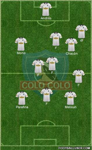 CSD Colo Colo Formation 2013