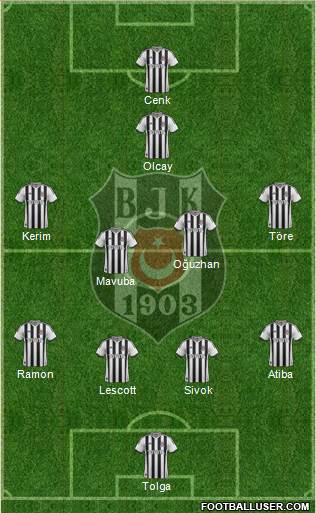 Besiktas JK Formation 2013