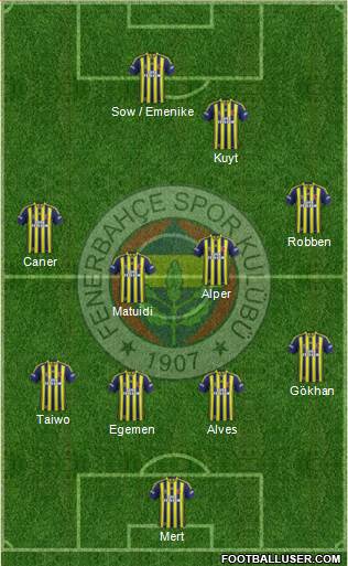 Fenerbahçe SK Formation 2013