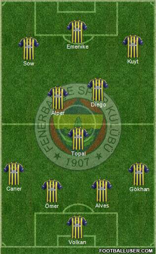 Fenerbahçe SK Formation 2013