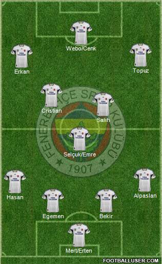 Fenerbahçe SK Formation 2013