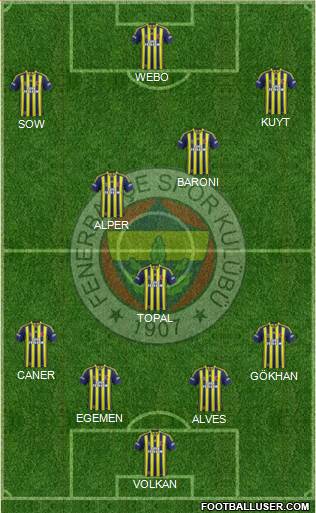 Fenerbahçe SK Formation 2013