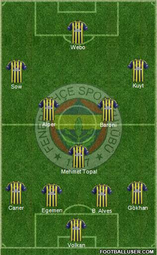 Fenerbahçe SK Formation 2013