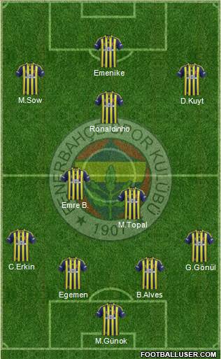 Fenerbahçe SK Formation 2013