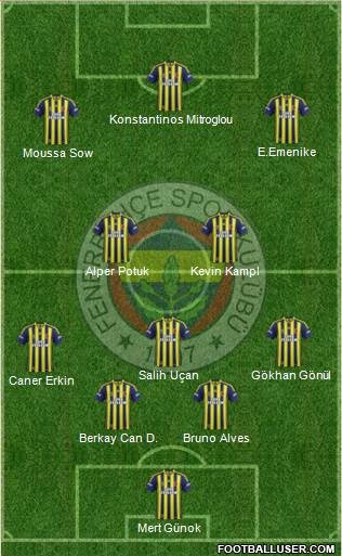 Fenerbahçe SK Formation 2013