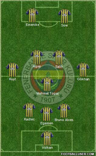 Fenerbahçe SK Formation 2013