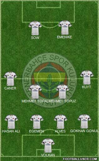 Fenerbahçe SK Formation 2013