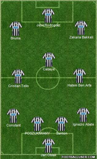 Newcastle United Formation 2013