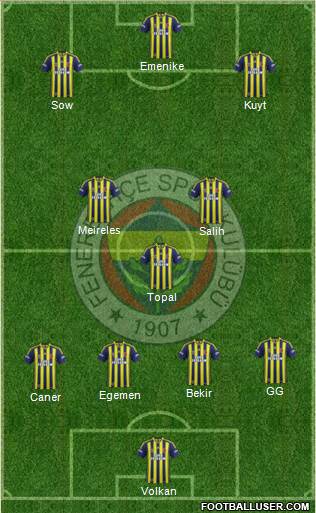 Fenerbahçe SK Formation 2013