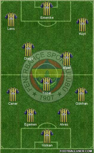 Fenerbahçe SK Formation 2013