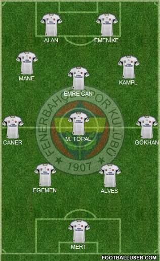 Fenerbahçe SK Formation 2013