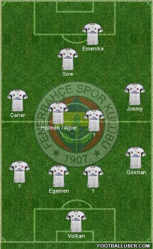 Fenerbahçe SK Formation 2013