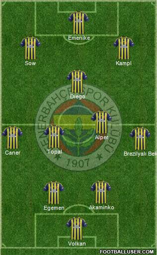 Fenerbahçe SK Formation 2013