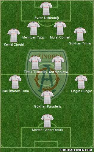 Altinordu Formation 2013