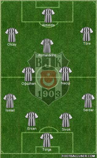 Besiktas JK Formation 2013