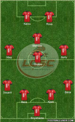 LOSC Lille Métropole Formation 2013