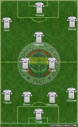 Fenerbahçe SK Formation 2013