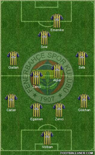 Fenerbahçe SK Formation 2013