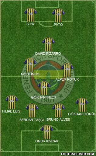 Fenerbahçe SK Formation 2013