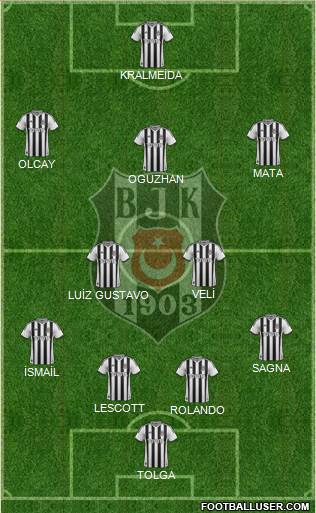 Besiktas JK Formation 2013