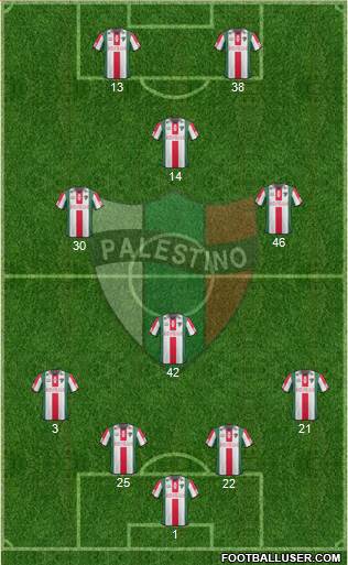 CD Palestino S.A.D.P. Formation 2013