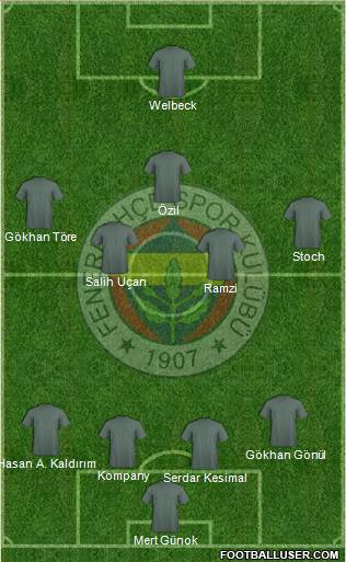 Fenerbahçe SK Formation 2013