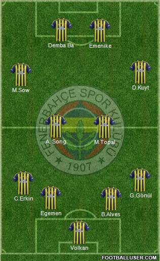 Fenerbahçe SK Formation 2013