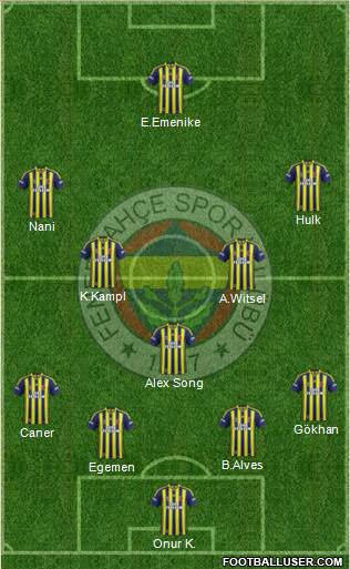 Fenerbahçe SK Formation 2013
