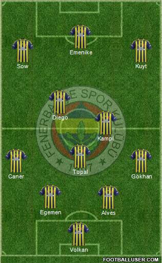 Fenerbahçe SK Formation 2013