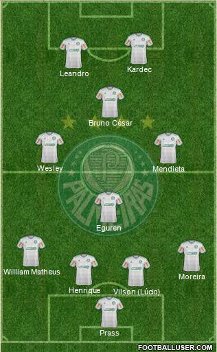 SE Palmeiras Formation 2013
