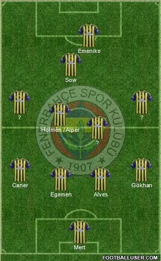 Fenerbahçe SK Formation 2013
