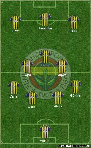 Fenerbahçe SK Formation 2013