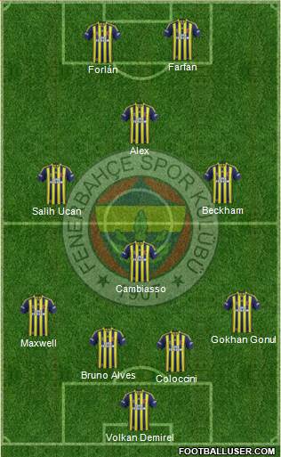 Fenerbahçe SK Formation 2013