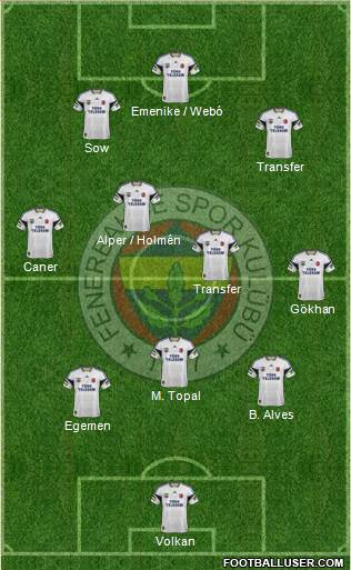 Fenerbahçe SK Formation 2013