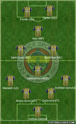 Fenerbahçe SK Formation 2013
