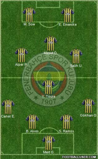 Fenerbahçe SK Formation 2013