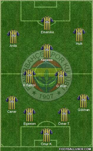 Fenerbahçe SK Formation 2013