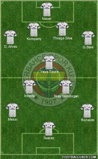 Fenerbahçe SK Formation 2013