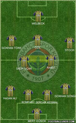 Fenerbahçe SK Formation 2013